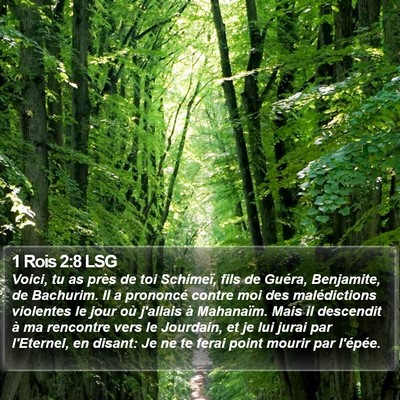 1 Rois 2:8 LSG Bible Verse Image