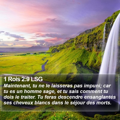 1 Rois 2:9 LSG Bible Verse Image