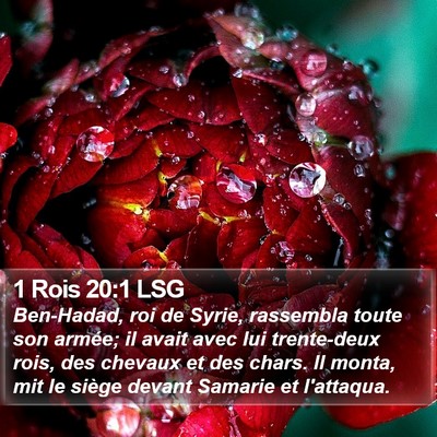 1 Rois 20:1 LSG Bible Verse Image