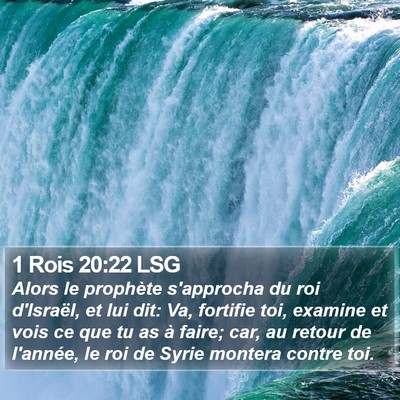 1 Rois 20:22 LSG Bible Verse Image