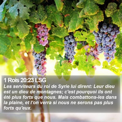 1 Rois 20:23 LSG Bible Verse Image
