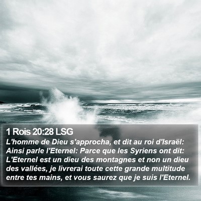 1 Rois 20:28 LSG Bible Verse Image