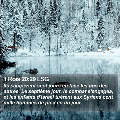 1 Rois 20:29 LSG Bible Verse Image