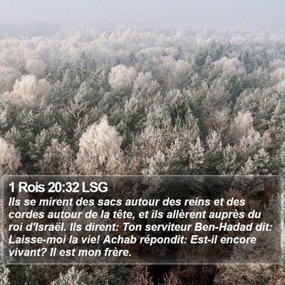 1 Rois 20:32 LSG Bible Verse Image