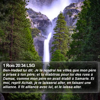 1 Rois 20:34 LSG Bible Verse Image