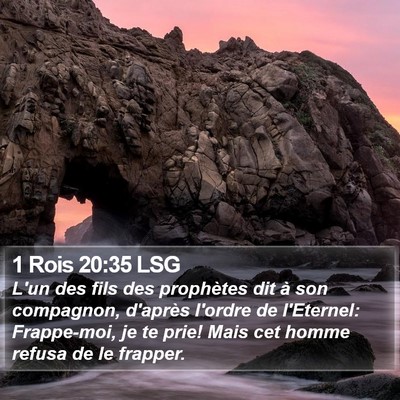 1 Rois 20:35 LSG Bible Verse Image