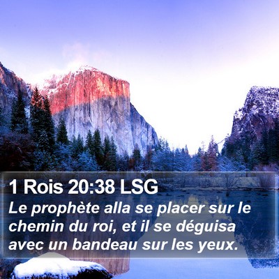 1 Rois 20:38 LSG Bible Verse Image