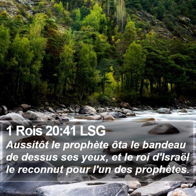 1 Rois 20:41 LSG Bible Verse Image