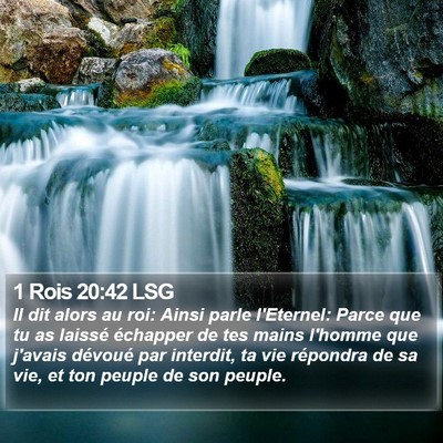 1 Rois 20:42 LSG Bible Verse Image
