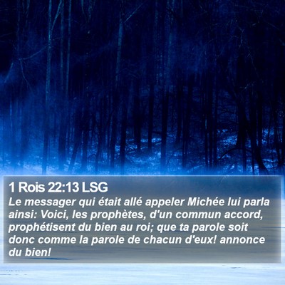 1 Rois 22:13 LSG Bible Verse Image