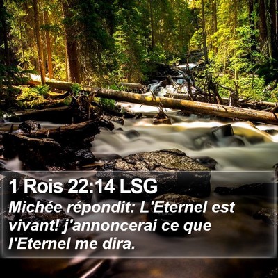 1 Rois 22:14 LSG Bible Verse Image