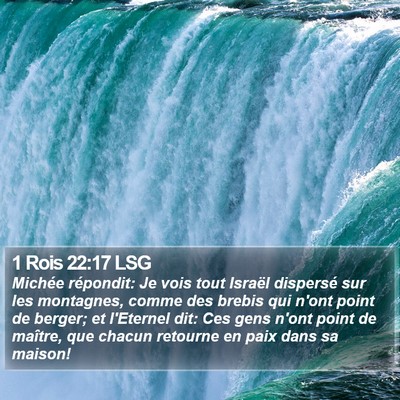 1 Rois 22:17 LSG Bible Verse Image