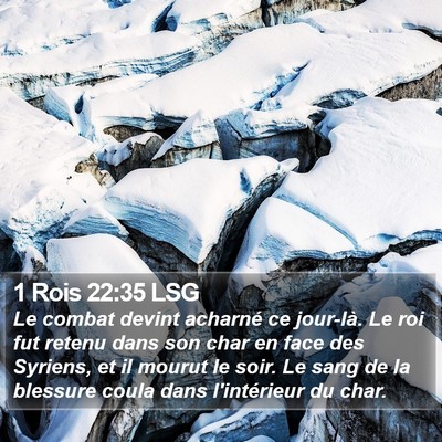 1 Rois 22:35 LSG Bible Verse Image