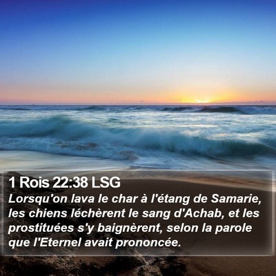 1 Rois 22:38 LSG Bible Verse Image