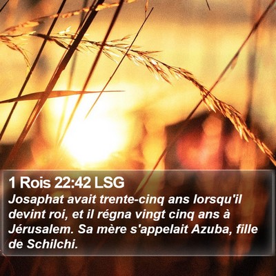 1 Rois 22:42 LSG Bible Verse Image