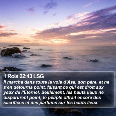 1 Rois 22:43 LSG Bible Verse Image