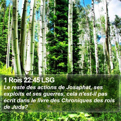 1 Rois 22:45 LSG Bible Verse Image