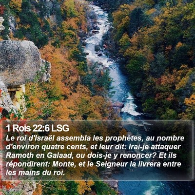 1 Rois 22:6 LSG Bible Verse Image