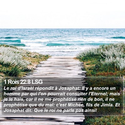 1 Rois 22:8 LSG Bible Verse Image