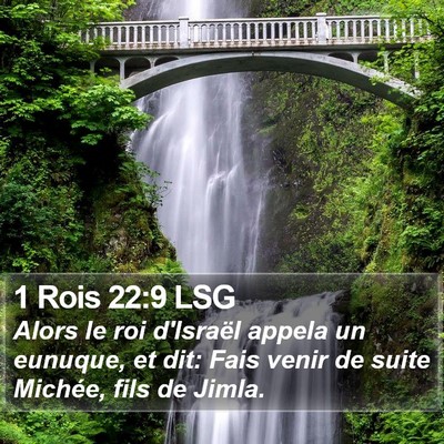 1 Rois 22:9 LSG Bible Verse Image