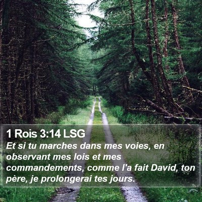 1 Rois 3:14 LSG Bible Verse Image