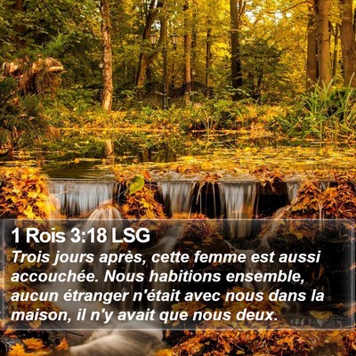 1 Rois 3:18 LSG Bible Verse Image