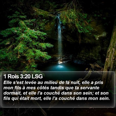 1 Rois 3:20 LSG Bible Verse Image