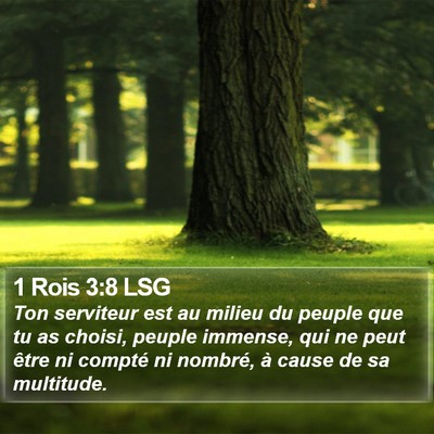 1 Rois 3:8 LSG Bible Verse Image