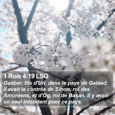 1 Rois 4:19 LSG Bible Verse Image