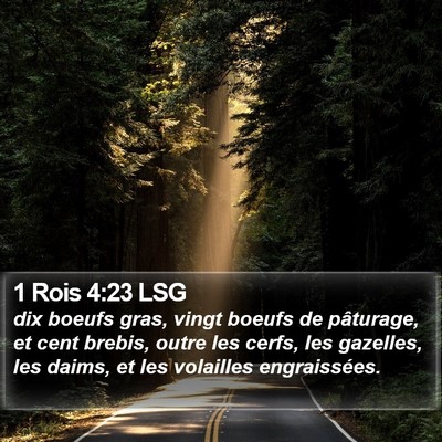 1 Rois 4:23 LSG Bible Verse Image