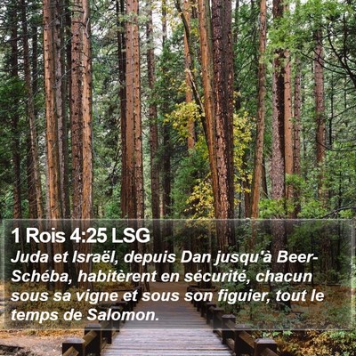 1 Rois 4:25 LSG Bible Verse Image