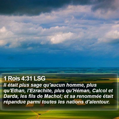 1 Rois 4:31 LSG Bible Verse Image