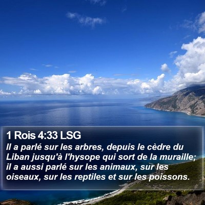 1 Rois 4:33 LSG Bible Verse Image