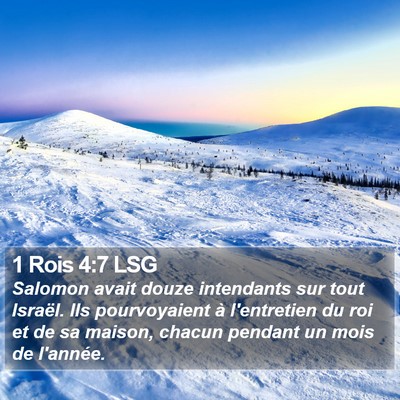 1 Rois 4:7 LSG Bible Verse Image