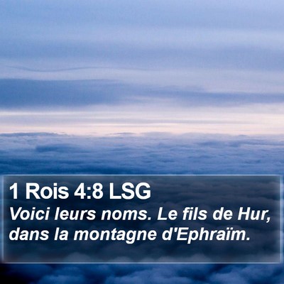 1 Rois 4:8 LSG Bible Verse Image