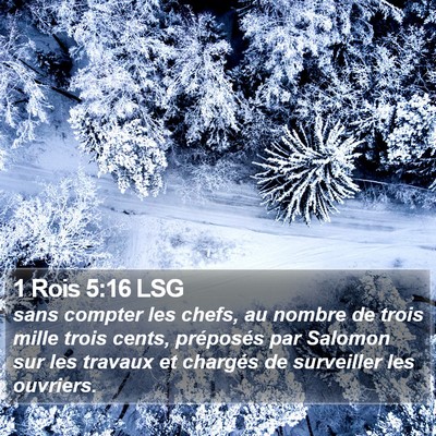1 Rois 5:16 LSG Bible Verse Image