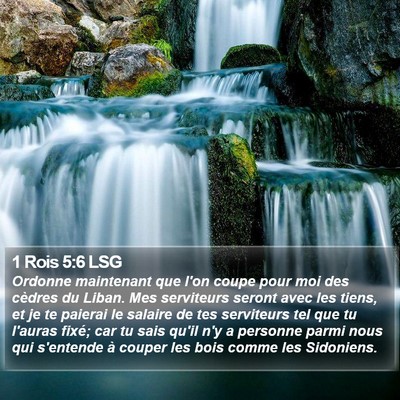 1 Rois 5:6 LSG Bible Verse Image