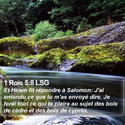 1 Rois 5:8 LSG Bible Verse Image