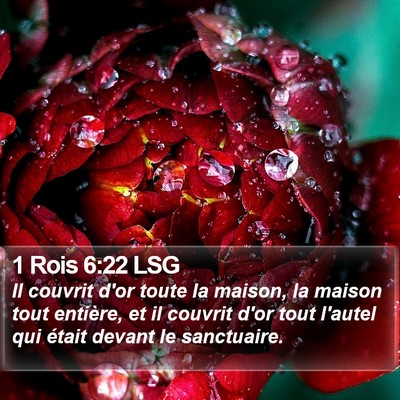 1 Rois 6:22 LSG Bible Verse Image