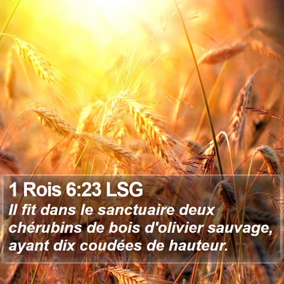 1 Rois 6:23 LSG Bible Verse Image