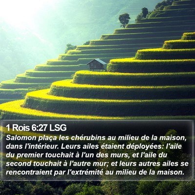 1 Rois 6:27 LSG Bible Verse Image