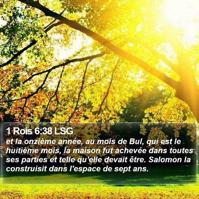 1 Rois 6:38 LSG Bible Verse Image