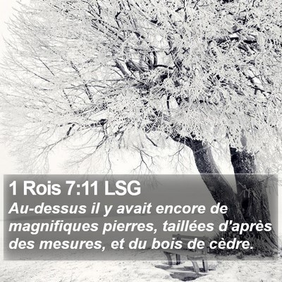 1 Rois 7:11 LSG Bible Verse Image