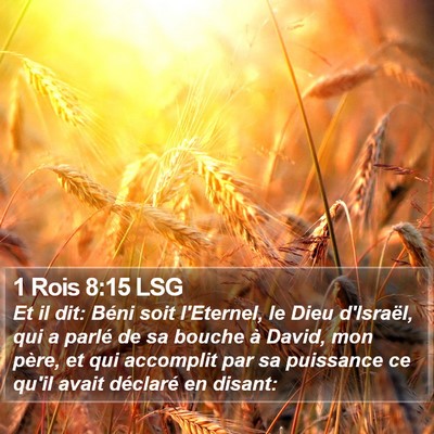 1 Rois 8:15 LSG Bible Verse Image