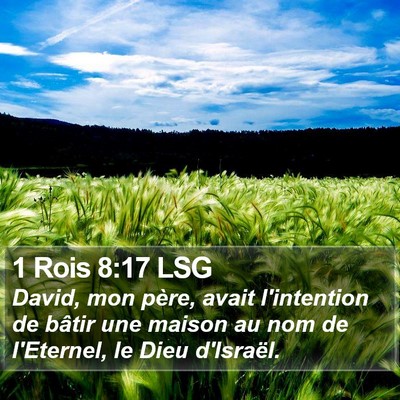 1 Rois 8:17 LSG Bible Verse Image