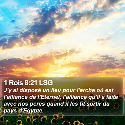 1 Rois 8:21 LSG Bible Verse Image