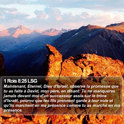 1 Rois 8:25 LSG Bible Verse Image