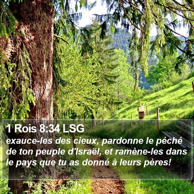 1 Rois 8:34 LSG Bible Verse Image