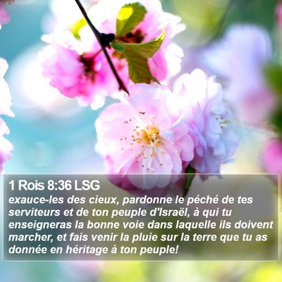1 Rois 8:36 LSG Bible Verse Image