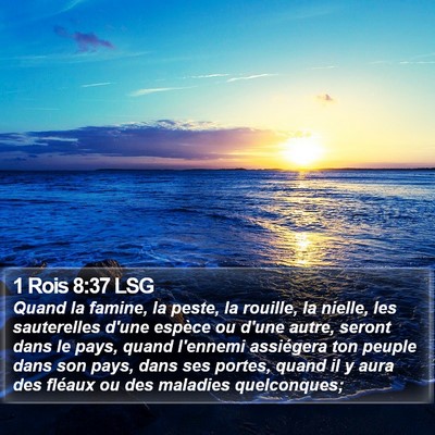1 Rois 8:37 LSG Bible Verse Image